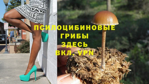 соль ск Алзамай